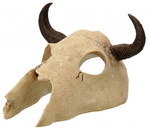 Декор череп буйвола для террариума, Repti Planet от зоомагазина Дино Зоо