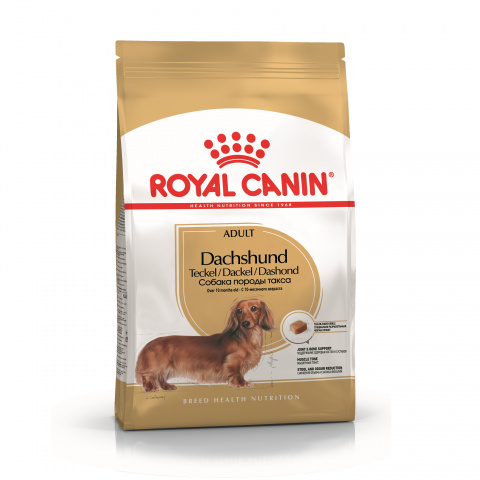 Dachshund Adult корм для собак породы такса старше 10 месяцев, Royal Canin