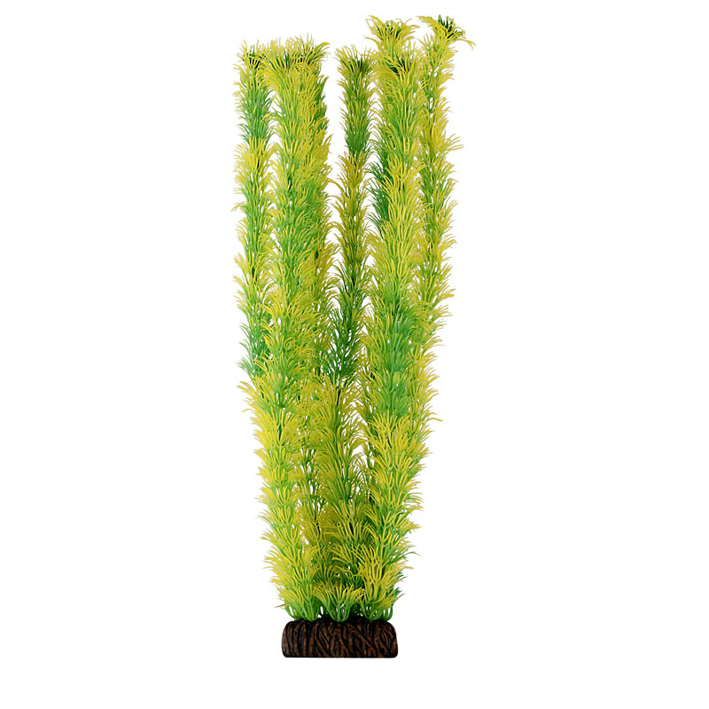 Растение "Амбулия" жёлто-зеленая, 400мм Laguna