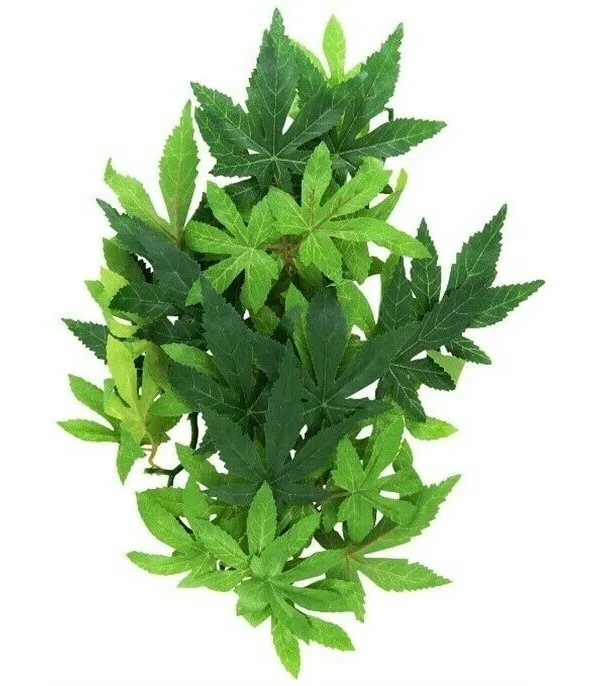 Тропическое растение Jungle Plants пластиковое, Абутилон, среднее,55х20см, Exo-Terra