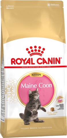 Kitten Maine Coon корм для котят породы мейн-кун в возрасте до 15 месяцев, Royal Canin