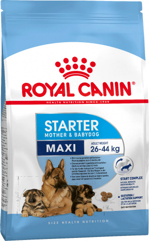 Maxi Starter корм для щенков крупных пород до 2-х месяцев, беременных и кормящих сук, Royal Canin