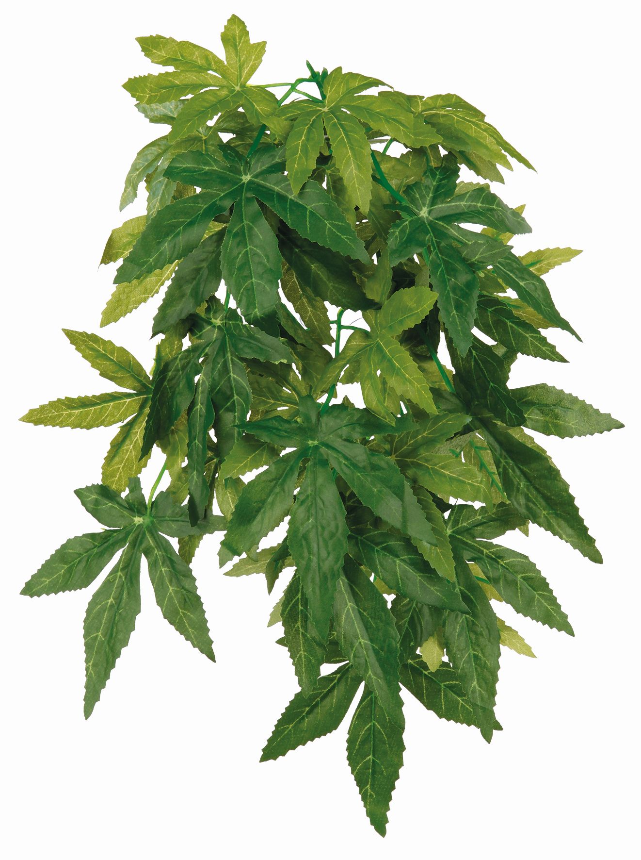 Растение для террариума "Абутилон" 20х50см