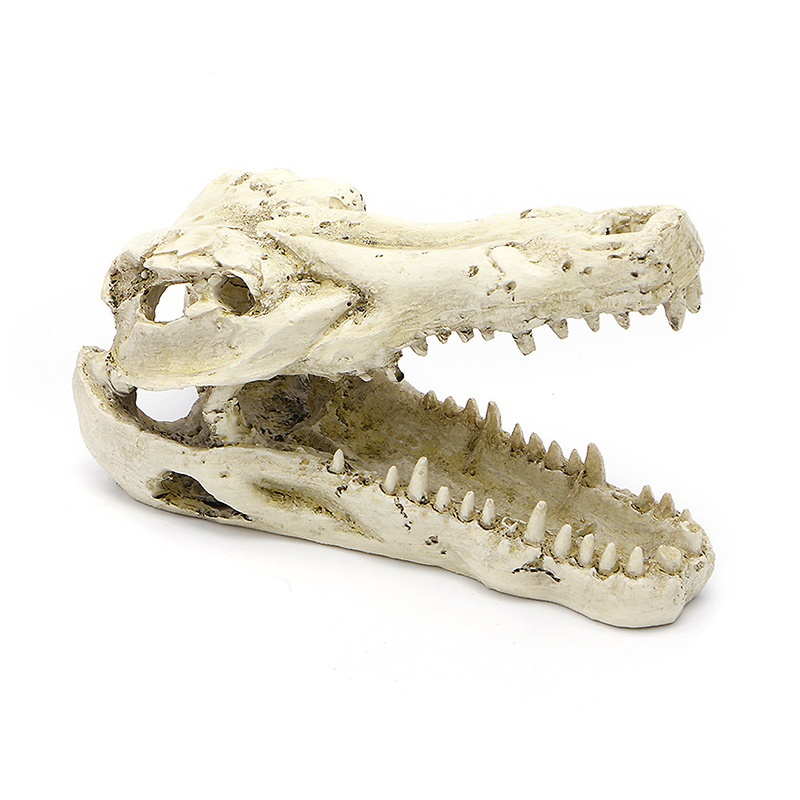 Декор череп крокодила для террариума, Repti Planet