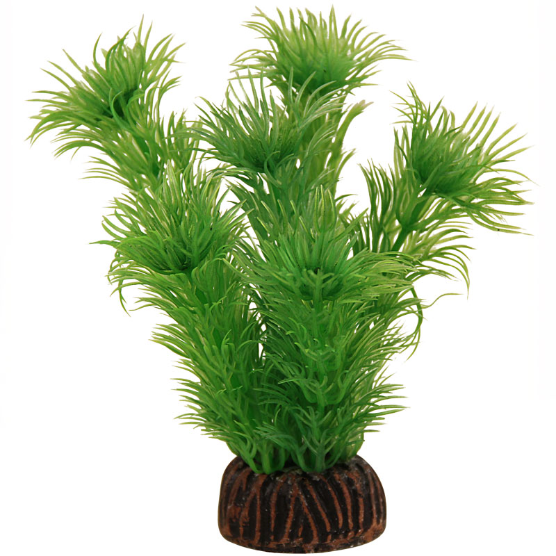 Растение 1393 "Амбулия" зеленая, 100мм