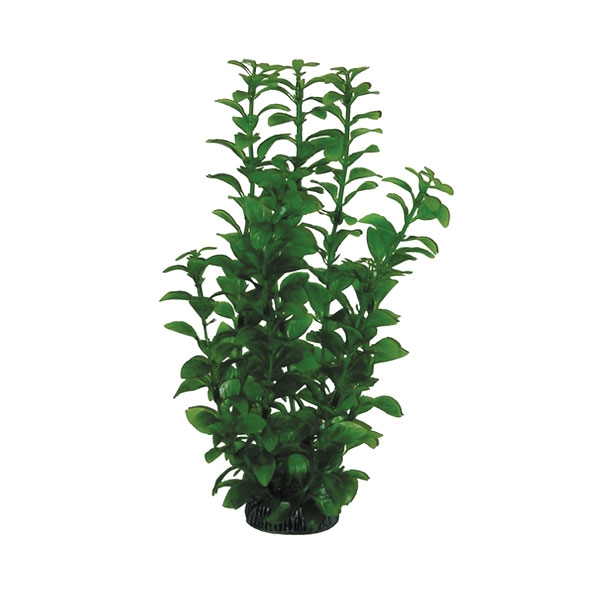 Растение "Людвигия" зеленая, 300мм Laguna