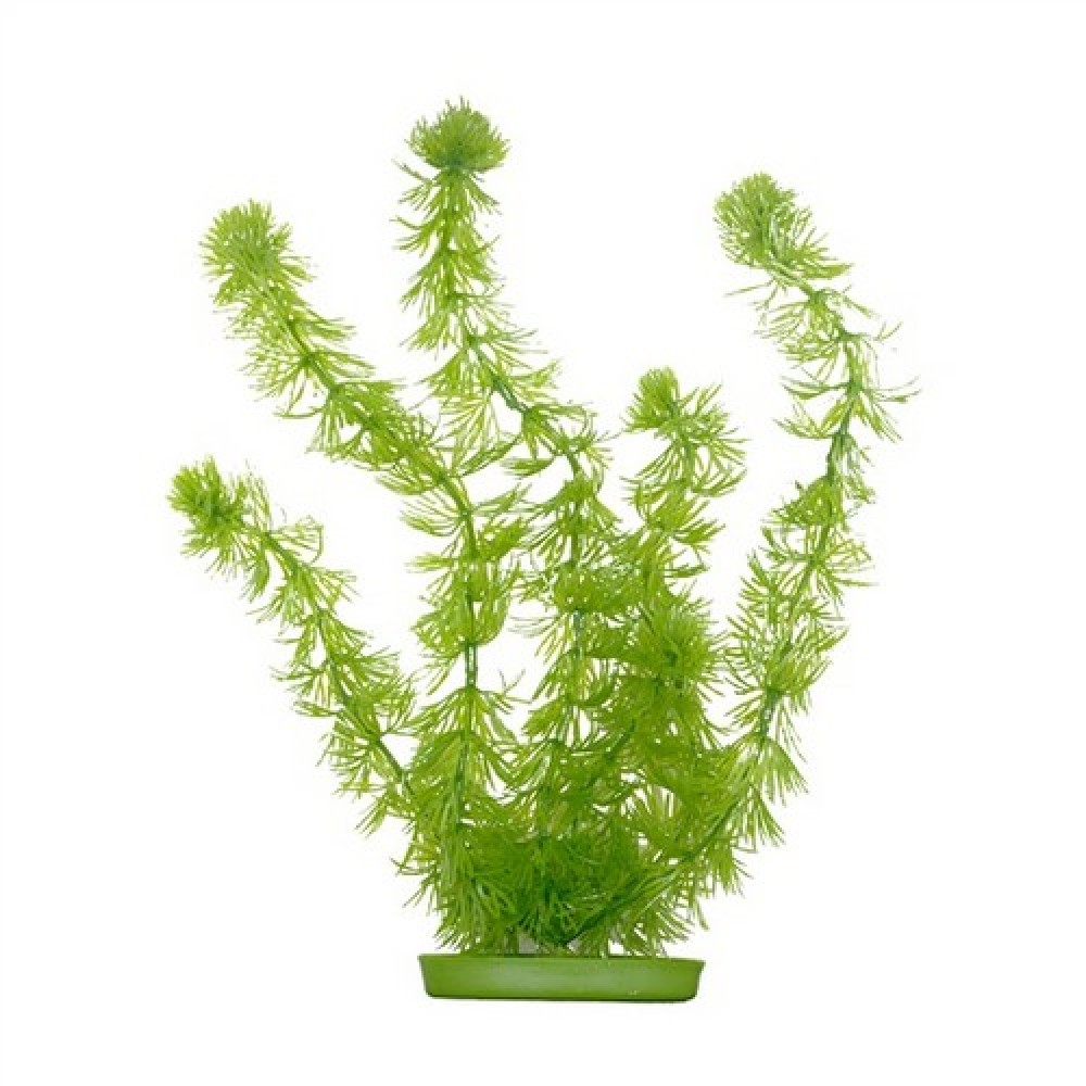 Растение пластиковое зеленое Роголистник 38см от зоомагазина Дино Зоо