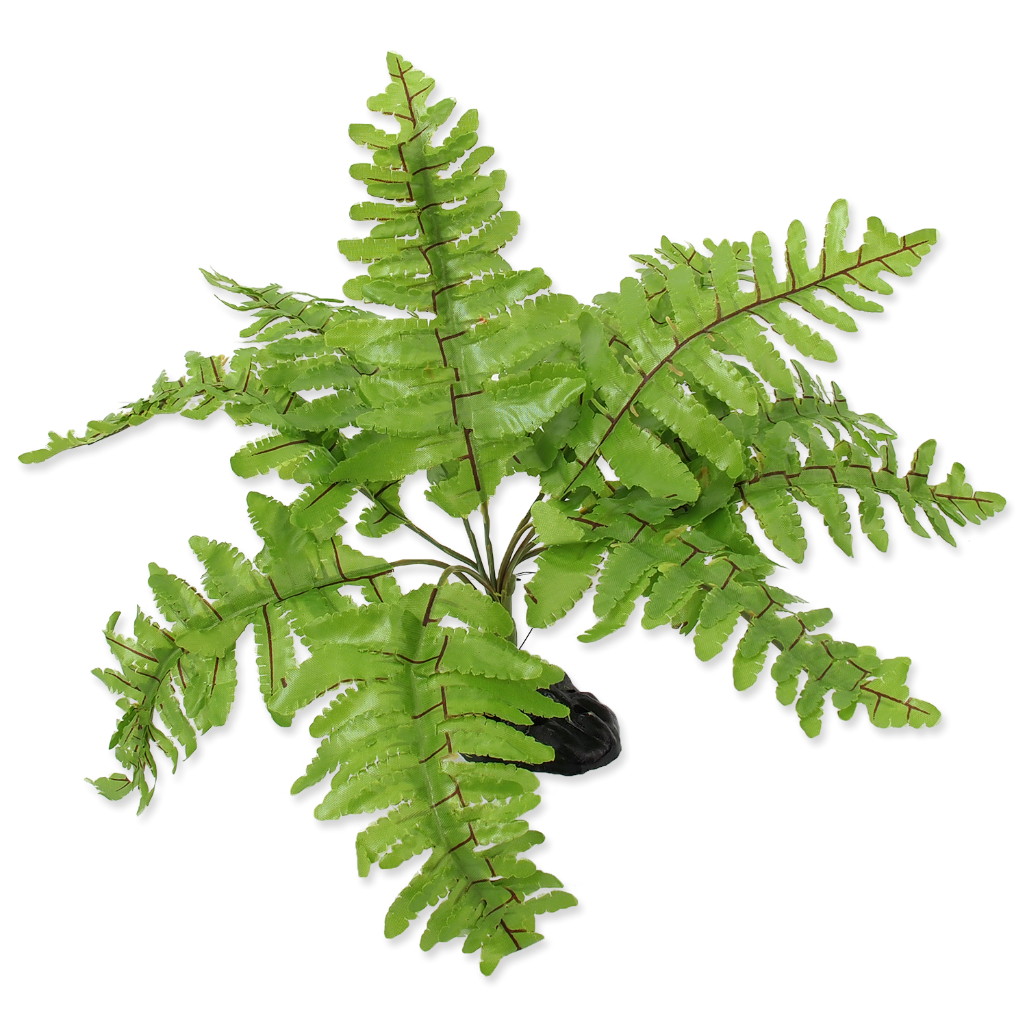 Растение 20см. папоротник Нефролепис, Repti Planet от зоомагазина Дино Зоо