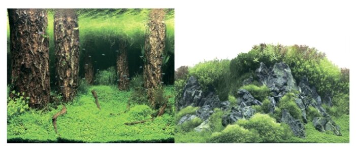 Фон для аквариума двухсторонний Затопленный лес/Камни с растениями 50х100см (9086/9087), Prime