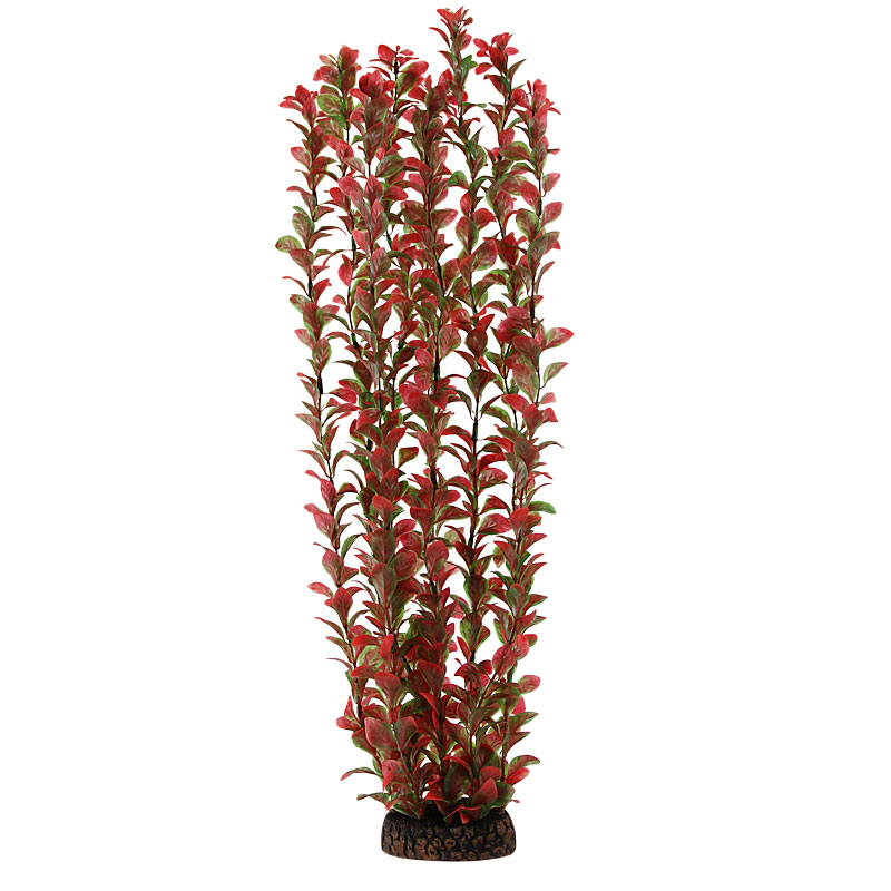 Растение "Людвигия" красная, 500мм Laguna от зоомагазина Дино Зоо