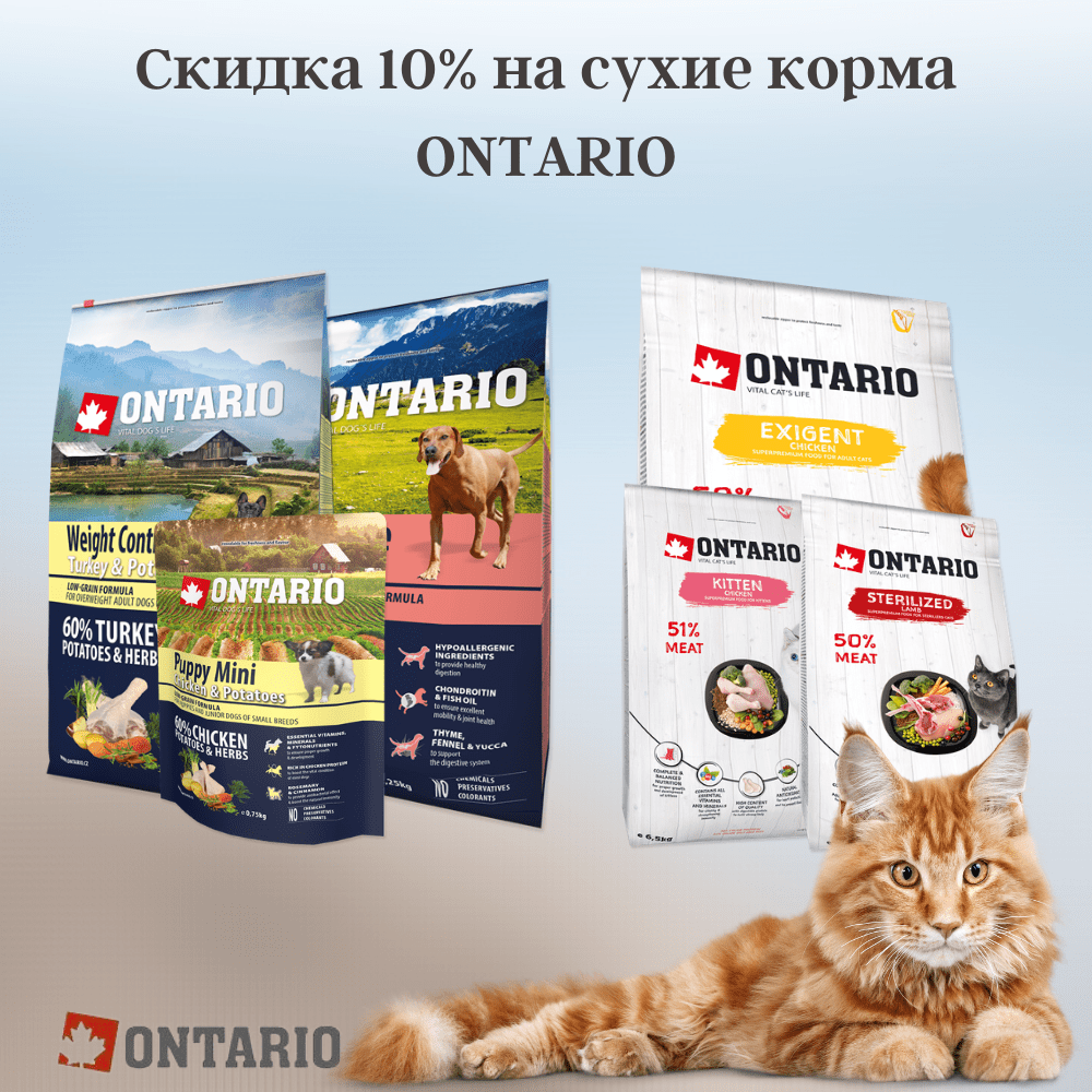 Скидка 10% на сухие корма Ontario для собак и кошек