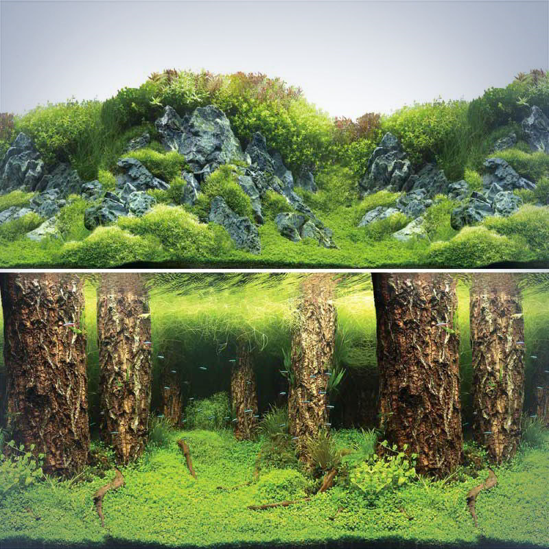 Фон для аквариума двухсторонний Затопленный лес/Камни с растениями 30х60см (9086/9087), Prime
