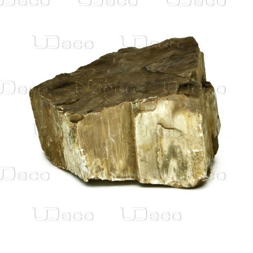 UDeco Fossilized Wood Stone M - Натуральный камень "Окаменелое дерево" для оформления аквариумов и т от зоомагазина Дино Зоо