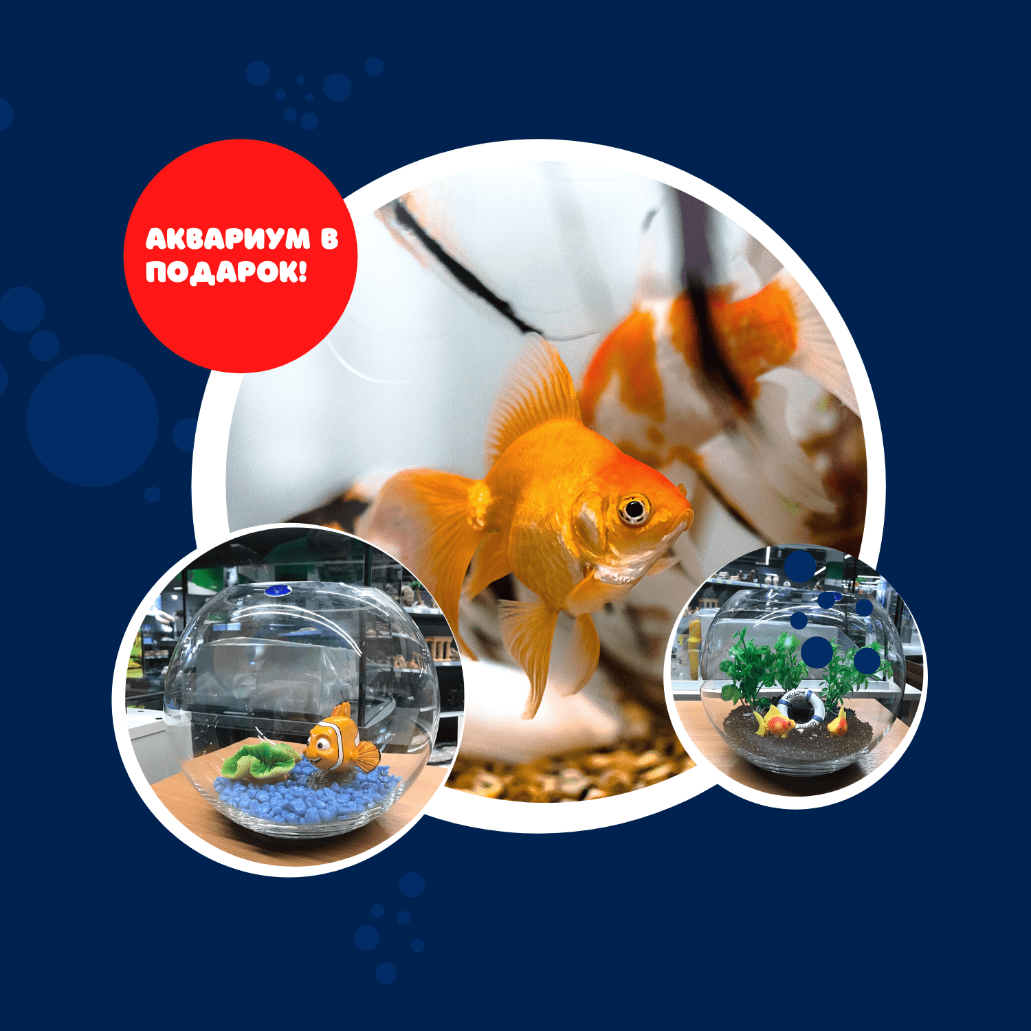 13 февраля в 12-00 ч. Детский конкурс по оформлению аквариума в Dino Zoo Саларис