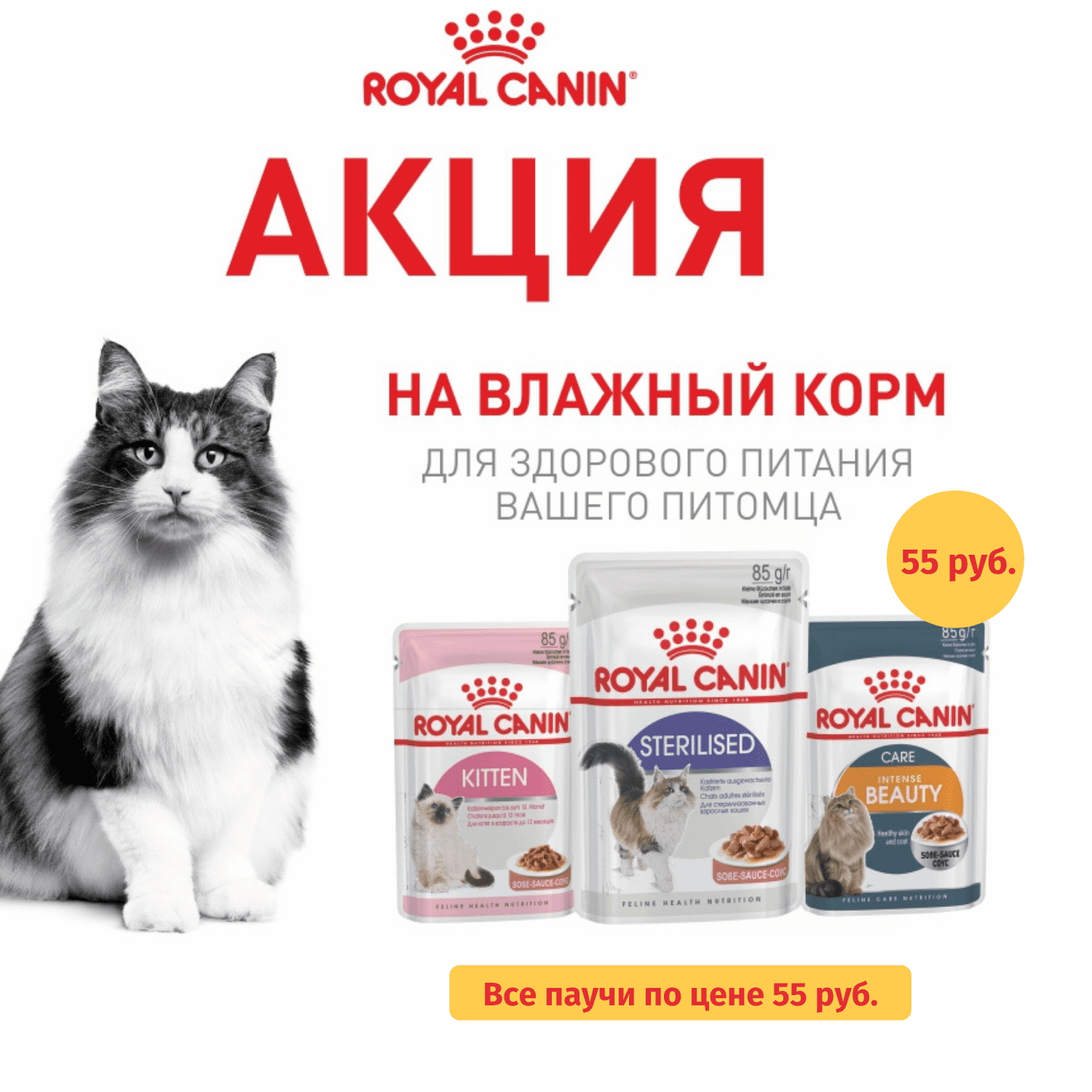 Все паучи Royal Canin цена 55 руб.