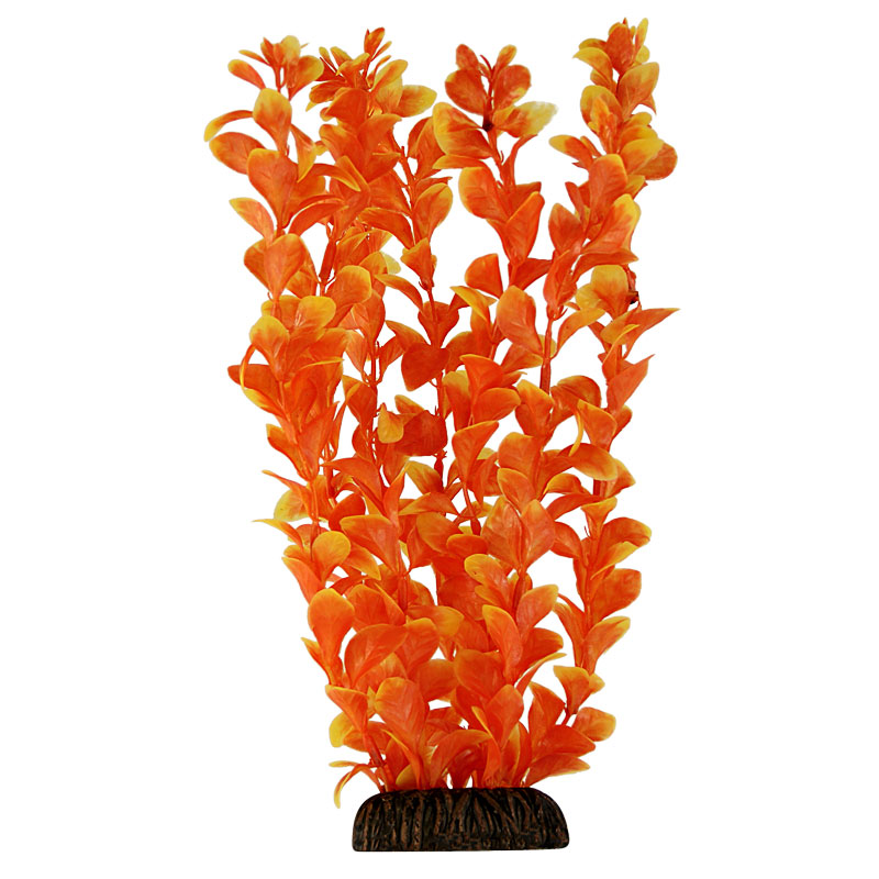 Растение "Людвигия" оранжевая, 300мм Laguna