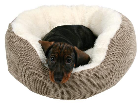Лежак для собак Yuma 55х55 см, Trixie от зоомагазина Дино Зоо