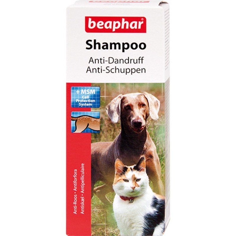 Шампунь Anti-Dandruff для собак и кошек против перхоти, Beaphar от зоомагазина Дино Зоо