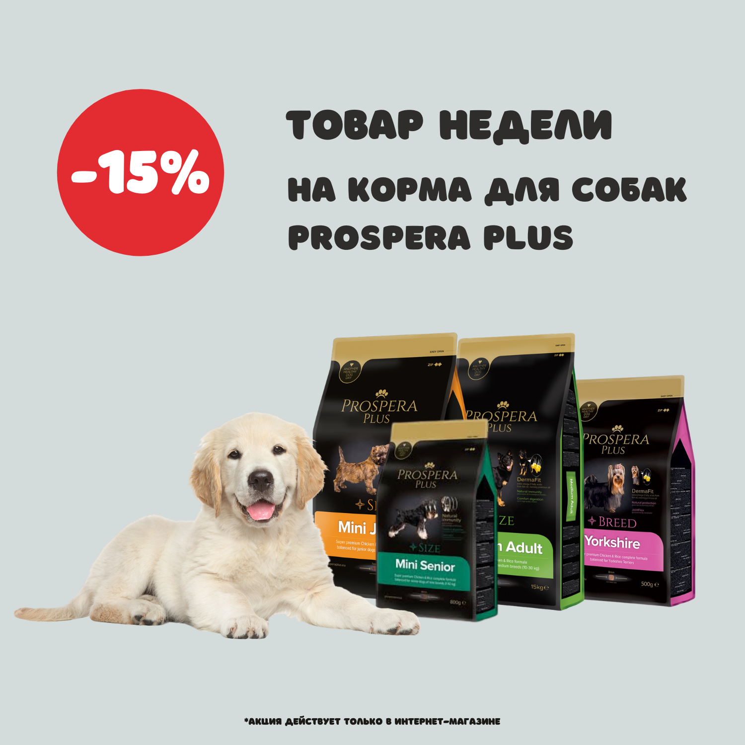 Товар недели – корма для собак Prospera Plus до 13 декабря