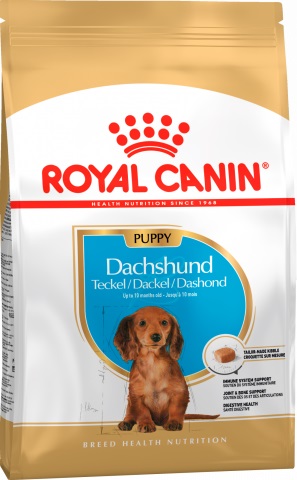 Dachshund Junior сухой корм для щенков породы Такса, Royal Canin от зоомагазина Дино Зоо