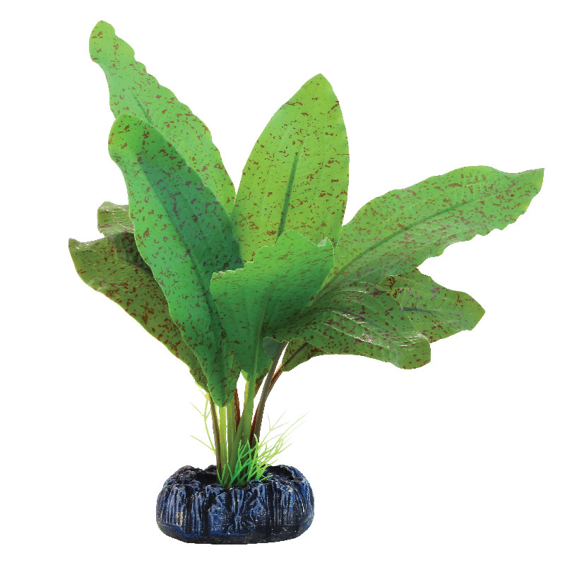 Растение шелковое "Эхинодорус крапчатый", 70мм, (пакет), Laguna от зоомагазина Дино Зоо