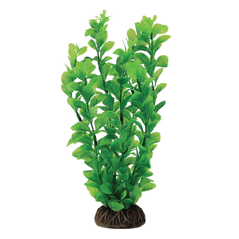 Растение 1396 "Людвигия" зеленая, 100мм от зоомагазина Дино Зоо