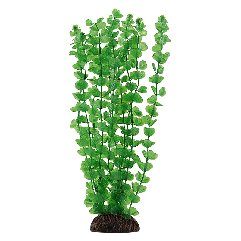 Растение 13139 "Бакопа" зеленая, 100мм от зоомагазина Дино Зоо
