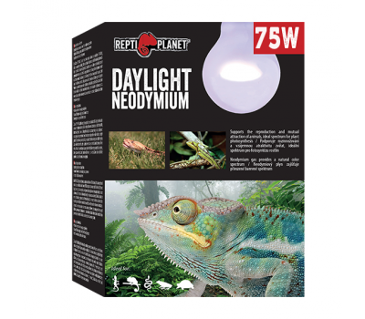Лампа неодимовая 75W дневного света, Repti Planet от зоомагазина Дино Зоо