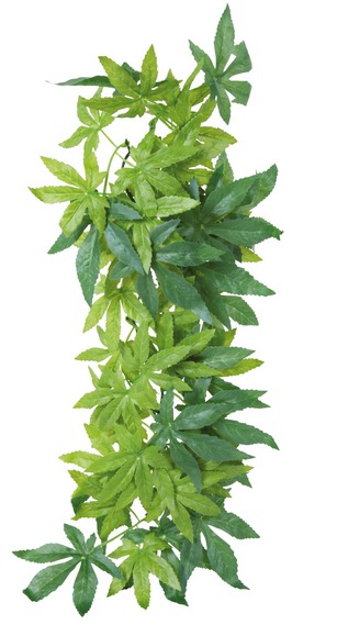 Растение для террариума "Абутилон" 20х30см от зоомагазина Дино Зоо