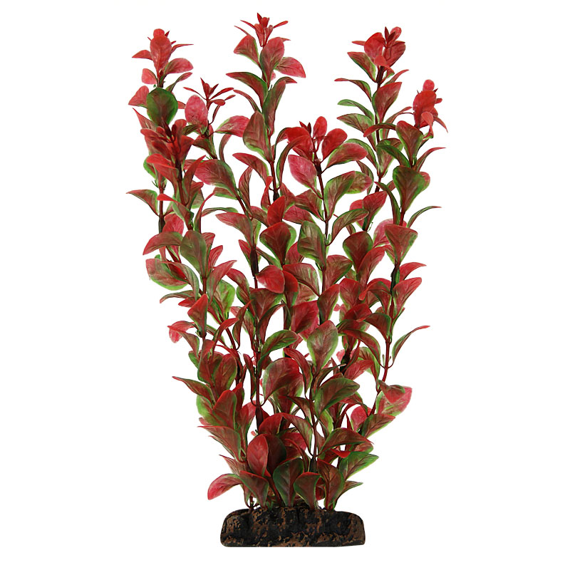 Растение 1394 "Людвигия" красная, 100мм от зоомагазина Дино Зоо