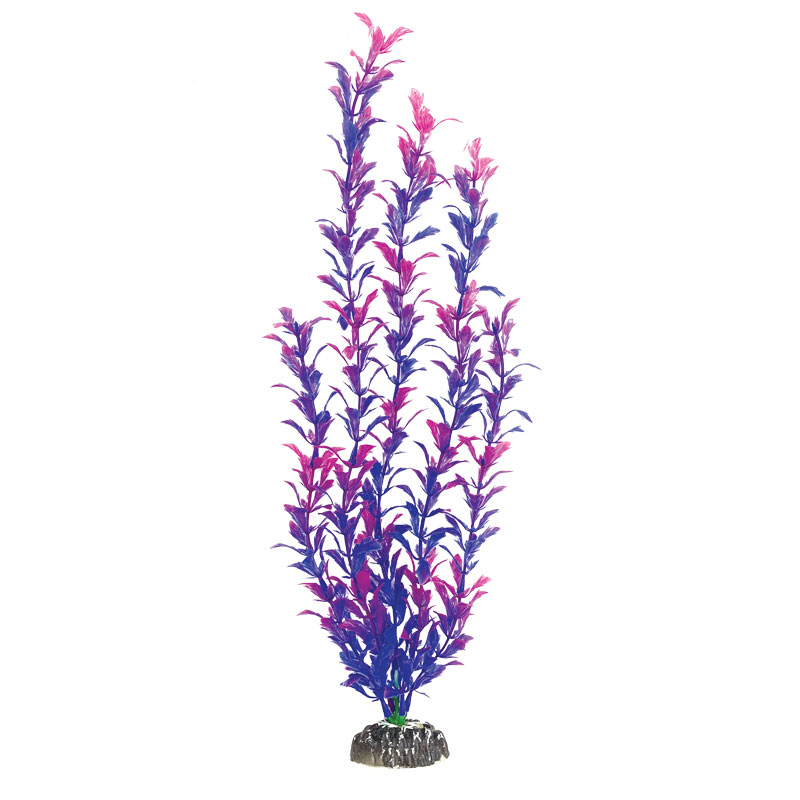 Растение "Людвигия фиолетовая", 100мм Laguna от зоомагазина Дино Зоо