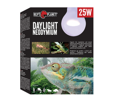 Лампа неодимовая 25W дневного света, Repti Planet от зоомагазина Дино Зоо