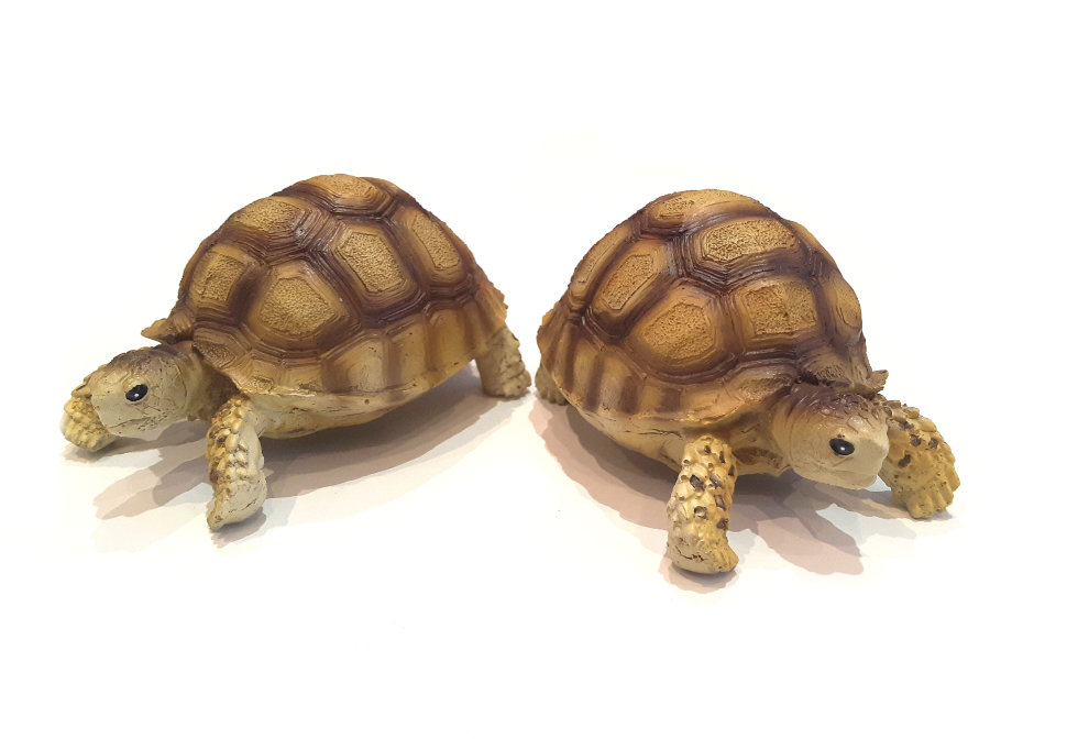 Черепаха Египетская - сувенир, Exo-Terra от зоомагазина Дино Зоо